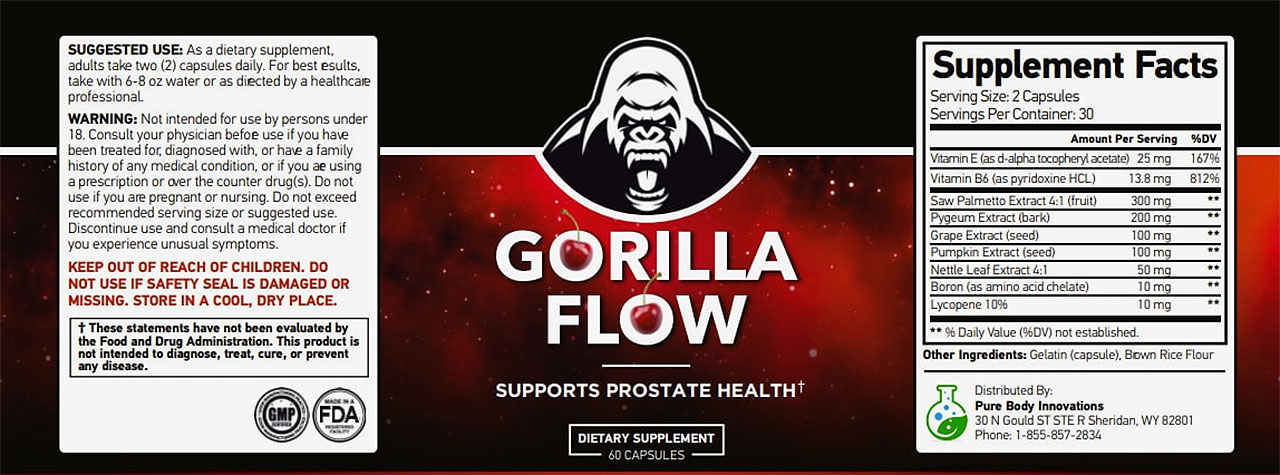 Gorilla Flow Reviews - Should You Buy or Complete Waste of Money Scam?  [2024 Update]