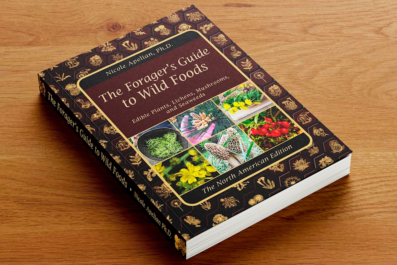 The Forager’s Guide to Wild Foods Review - Nicole Apelian Plant Remedy ...