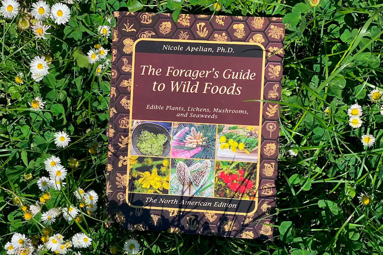 The Forager’s Guide to Wild Foods