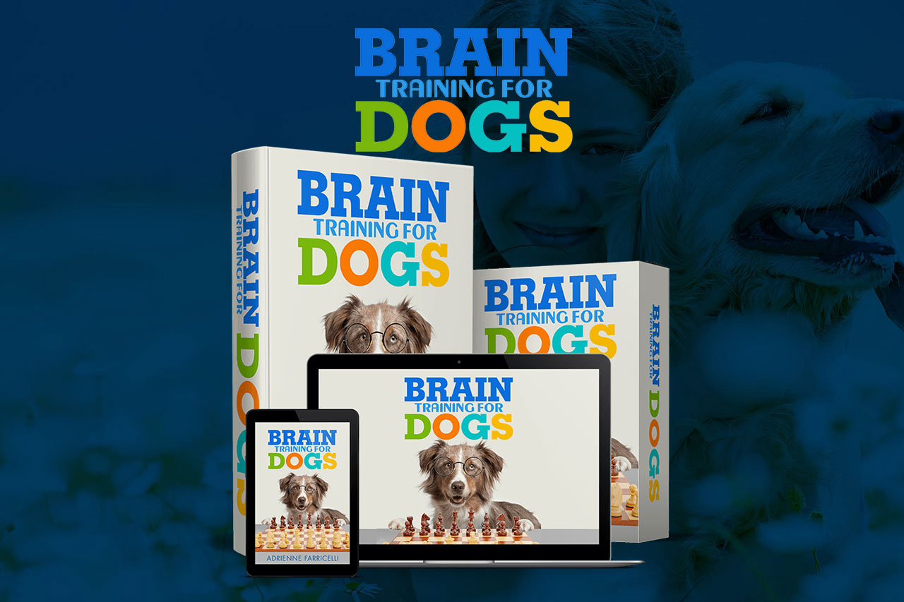 real dog brain
