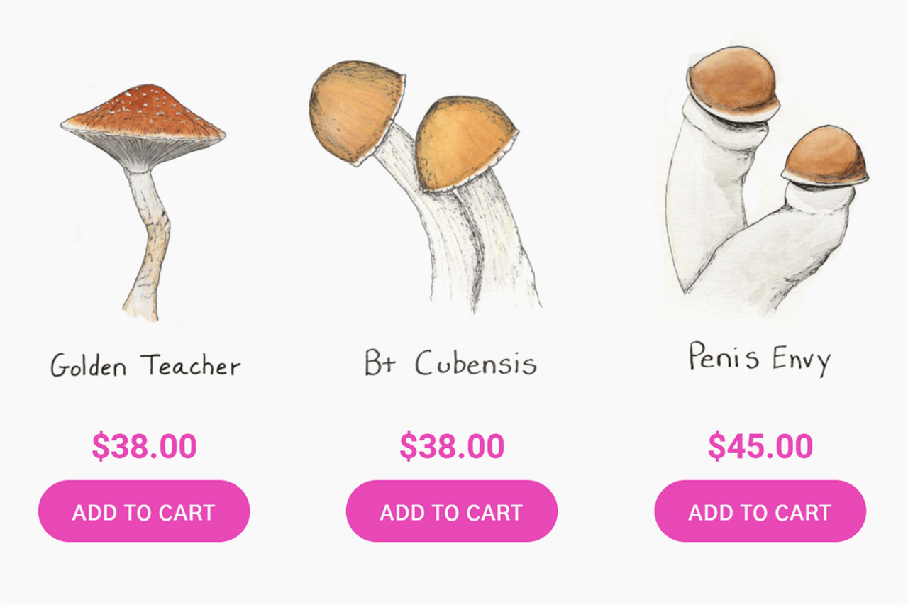 Fungushead Pricing