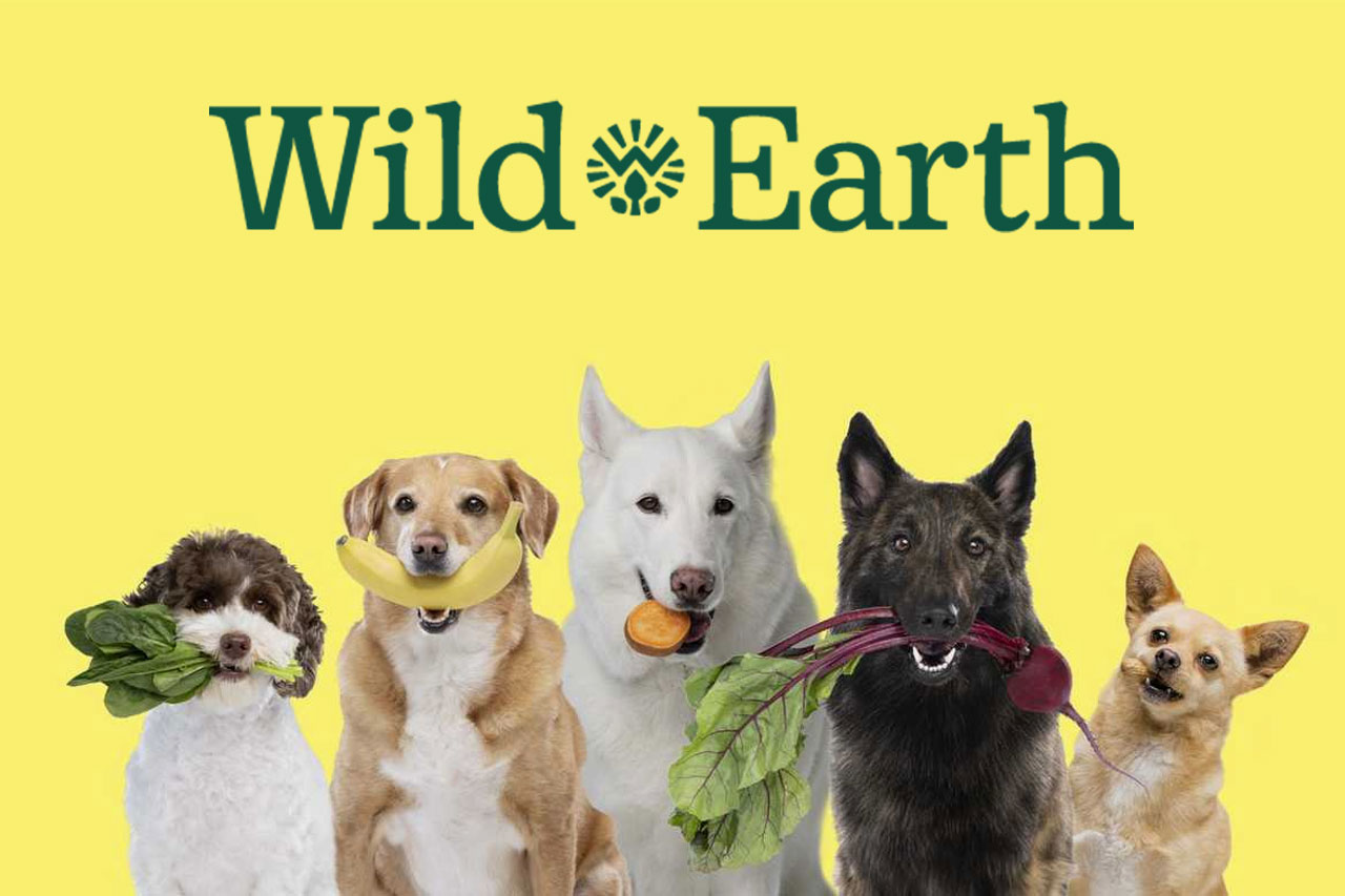 Wild Earth Reviews 2024 Should You Buy Maintenance & Performance Dog