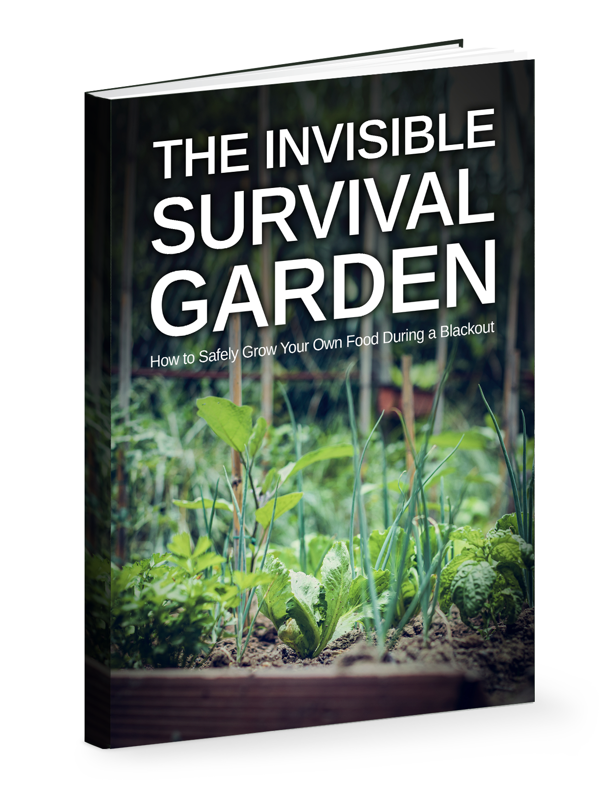 The Invisible Survival Garden: How to Safely Grow Your Food During a Blackout